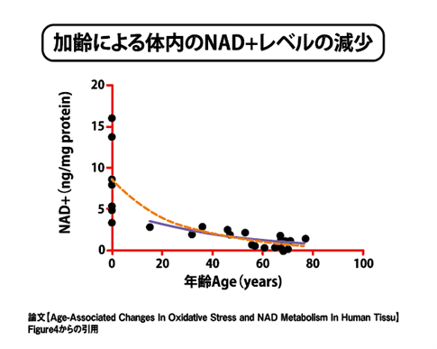 加齢による体内のNAD+レベルの減少を表すグラフ