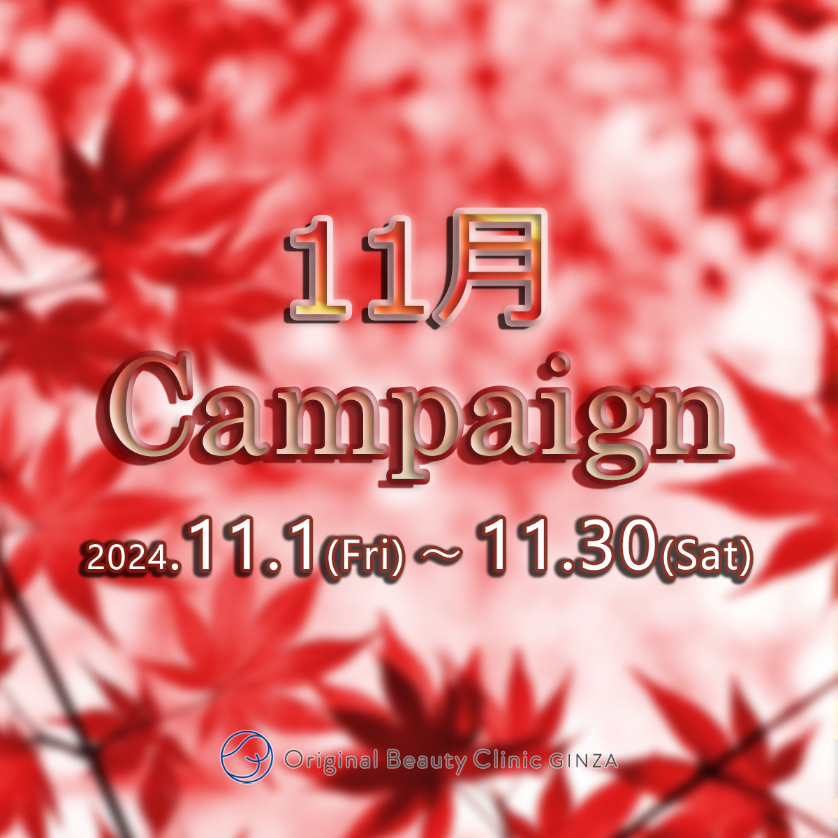 11月Campaign