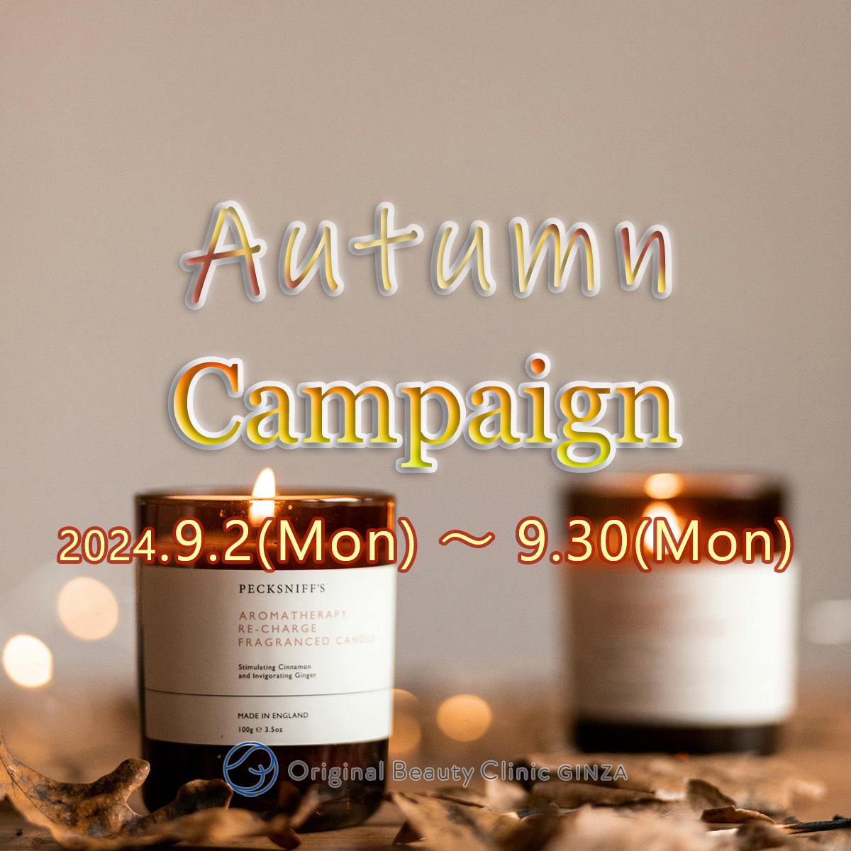 Autumn Campaign