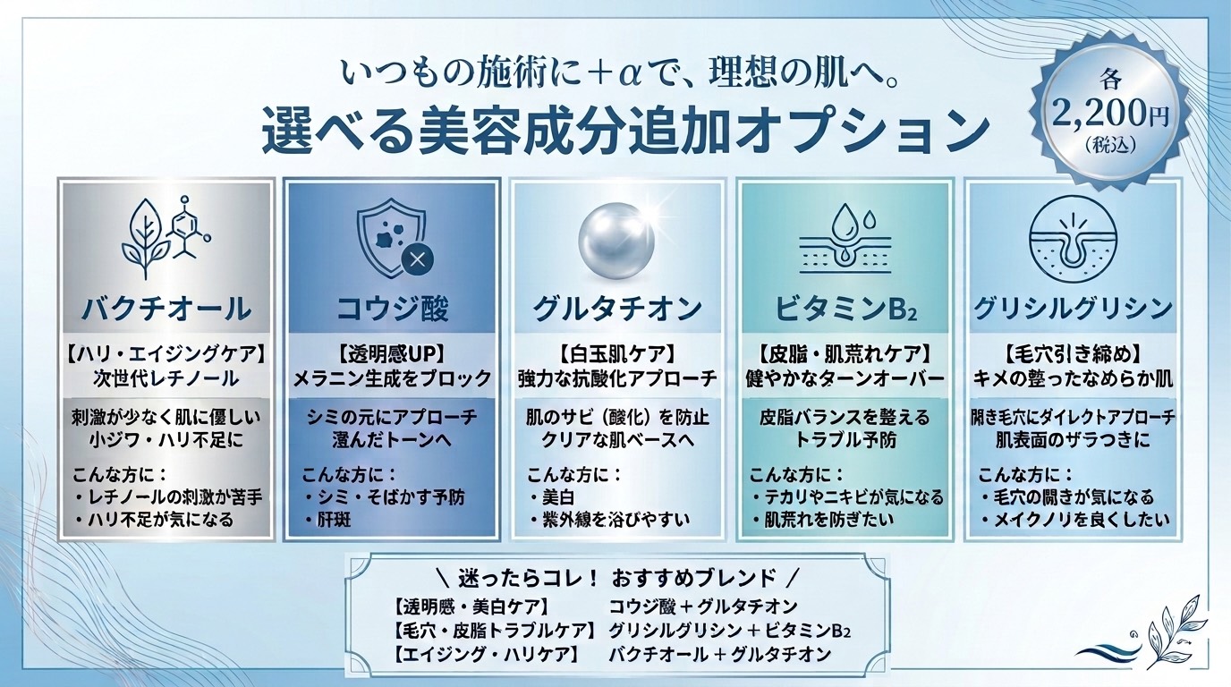 追加オプション